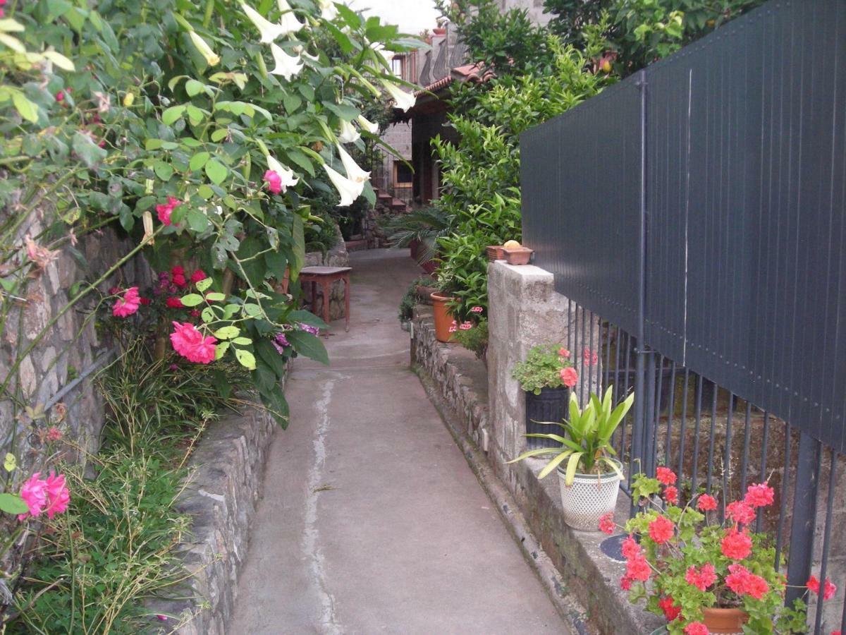 B&B L'Arcobaleno Sorrento Exterior photo